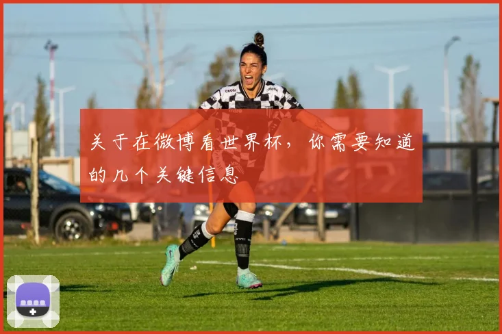 关于在微博看世界杯,你需要知道的几个关键信息
