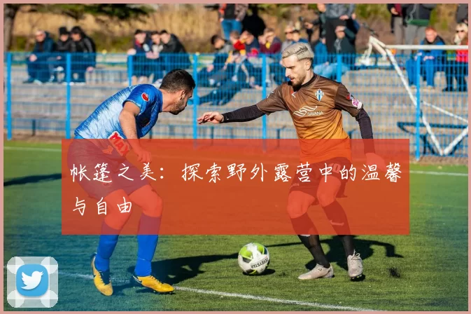 帐篷之美：探索野外露营中的温馨与自由