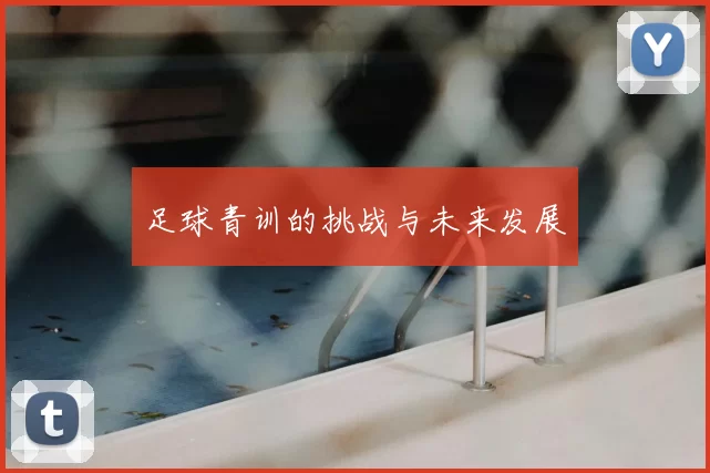 足球青训的挑战与未来发展