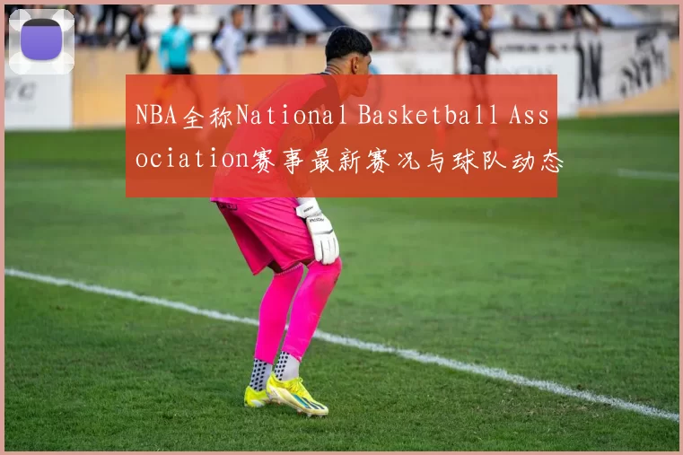 NBA全称National Basketball Association赛事最新赛况与球队动态分析
