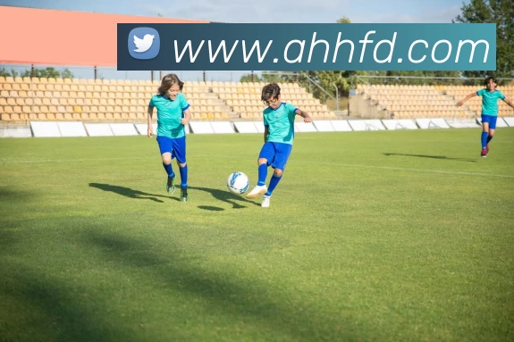 爱游戏官网APP 封面图